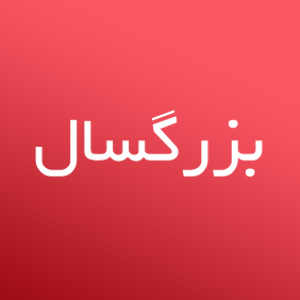بزرگسال